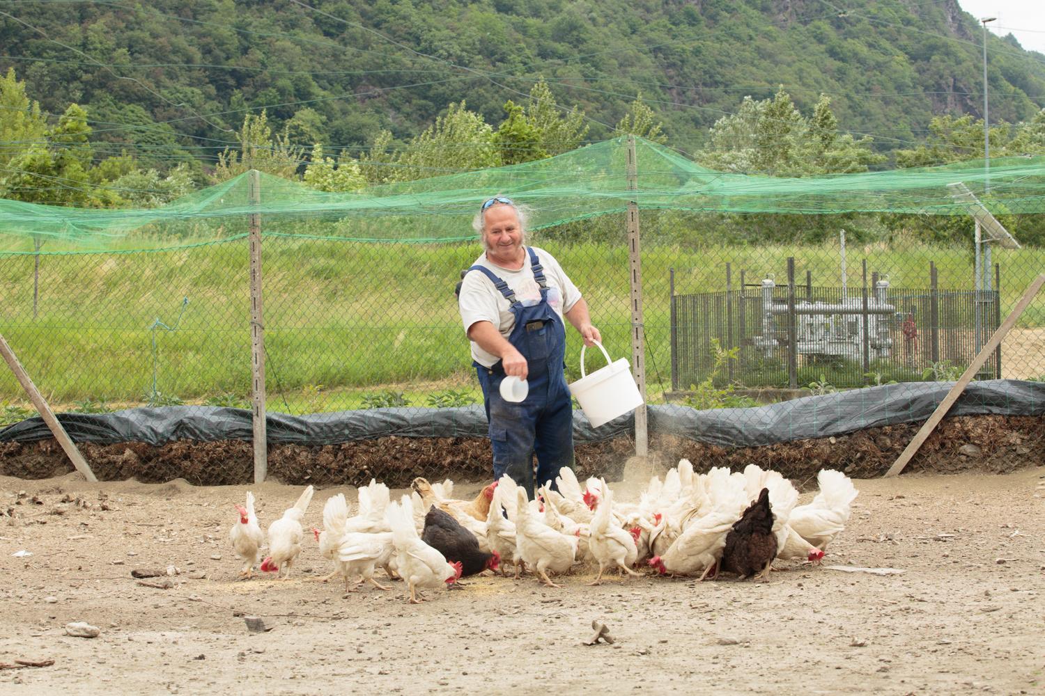 Il Bisteca Farm stay Morbegno