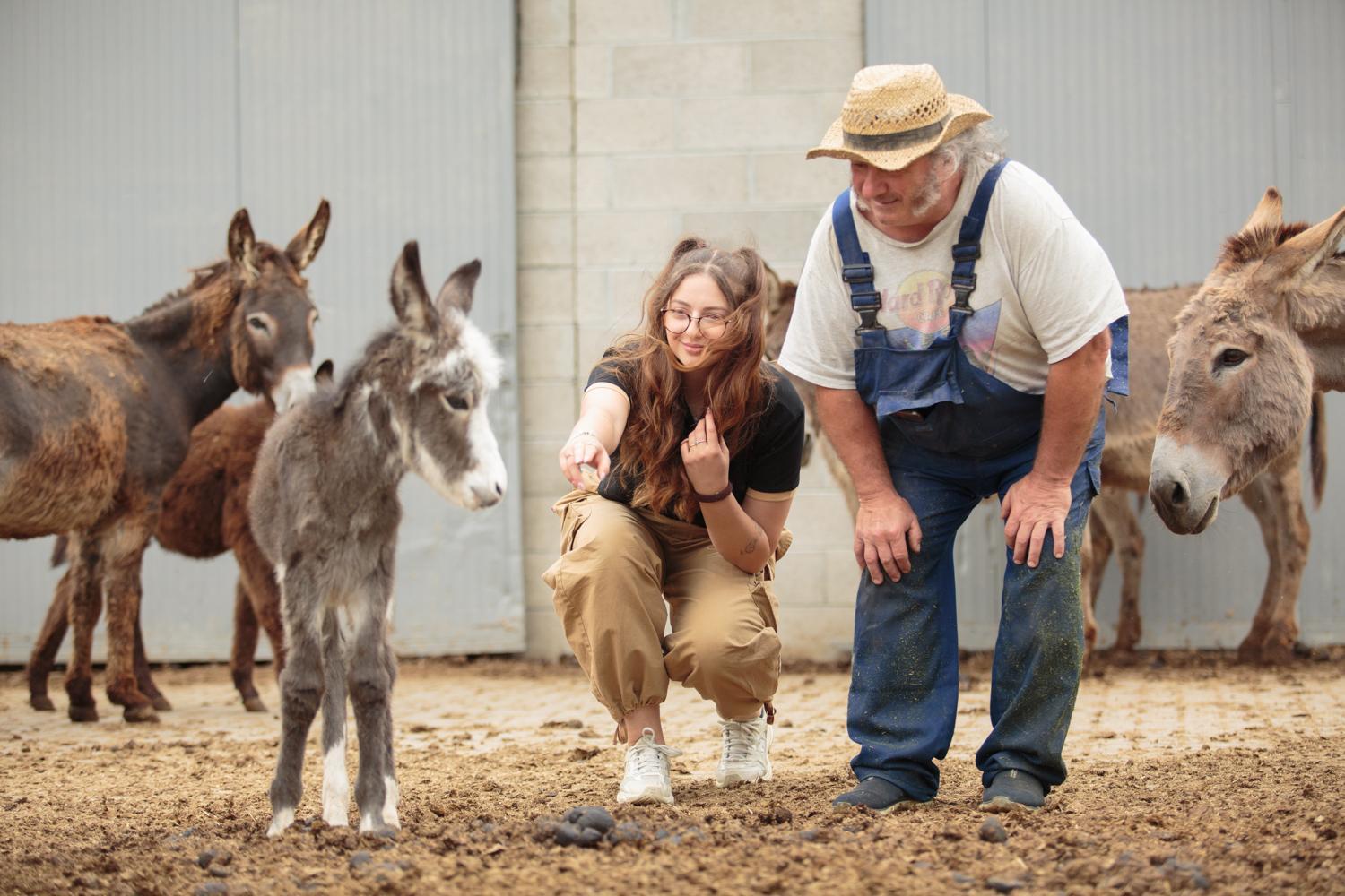 Farm stay Il Bisteca *